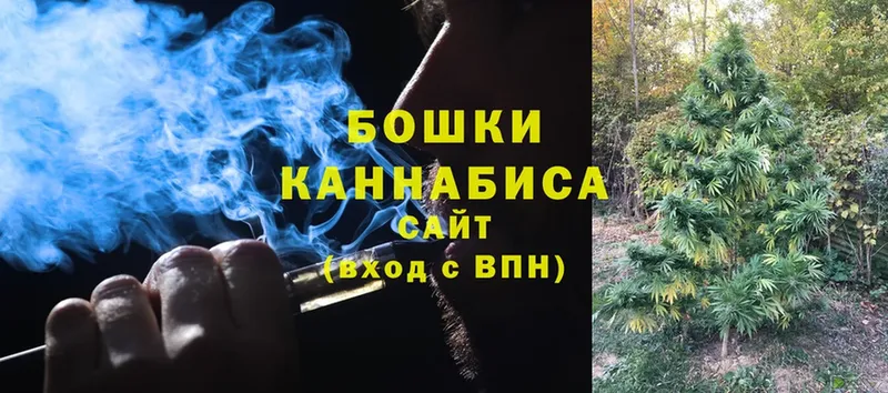 Бошки Шишки THC 21%  где найти   даркнет формула  Шумерля 